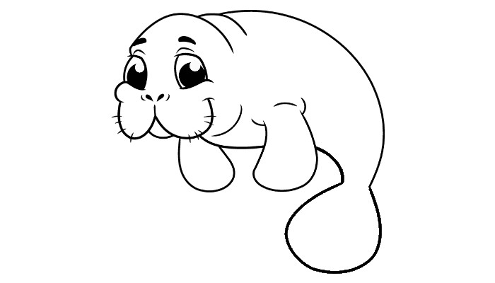 How to draw a Manatee